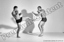 Fighting reference poses